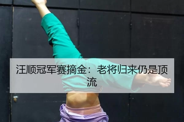 汪顺冠军赛摘金：老将归来仍是顶流